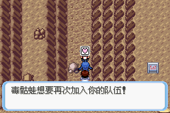 《口袋妖怪蛇纹木》二周目图文攻略