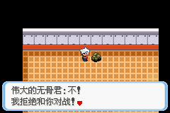 《口袋妖怪蛇纹木》二周目图文攻略