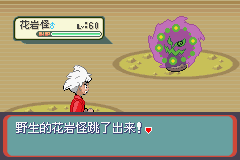 《口袋妖怪蛇纹木》二周目图文攻略