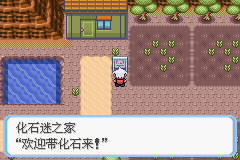 《口袋妖怪蛇纹木》二周目图文攻略