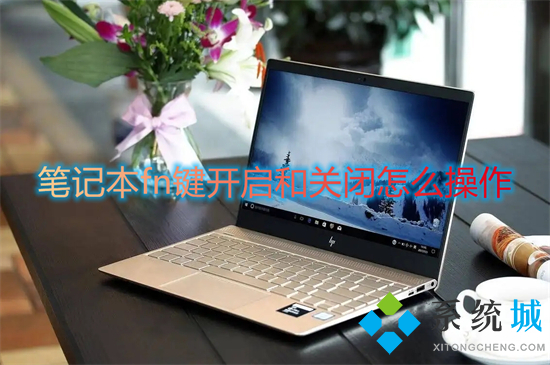 笔记本fn键开启和关闭怎么操作(笔记本怎么关闭fn功能键)