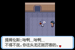 《口袋妖怪蛇纹木》二周目图文攻略
