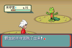 《口袋妖怪蛇纹木》二周目图文攻略