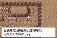 《口袋妖怪蛇纹木》二周目图文攻略