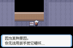 《口袋妖怪蛇纹木》二周目图文攻略