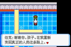 《口袋妖怪蛇纹木》二周目图文攻略