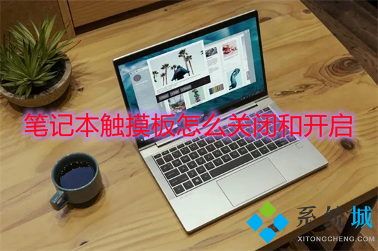 笔记本触摸板怎么关闭和开启(win10触摸板怎么开启)