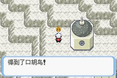 《口袋妖怪蛇纹木》二周目图文攻略