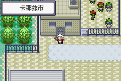 《口袋妖怪蛇纹木》二周目图文攻略