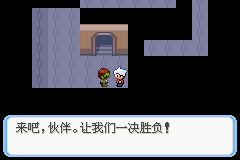 《口袋妖怪蛇纹木》二周目图文攻略