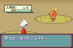 《口袋妖怪蛇纹木》二周目图文攻略