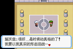 《口袋妖怪蛇纹木》二周目图文攻略