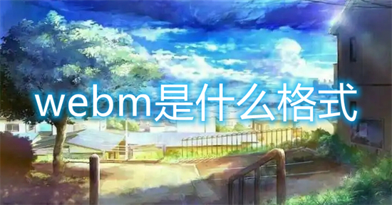 webm是什么格式(webm文件格式具体介绍)