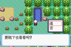 《口袋妖怪蛇纹木》二周目图文攻略