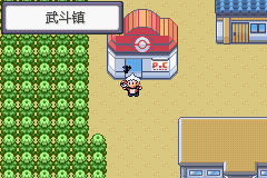 《口袋妖怪蛇纹木》二周目图文攻略