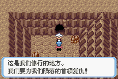 《口袋妖怪蛇纹木》二周目图文攻略