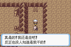 《口袋妖怪蛇纹木》二周目图文攻略