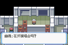 《口袋妖怪蛇纹木》二周目图文攻略