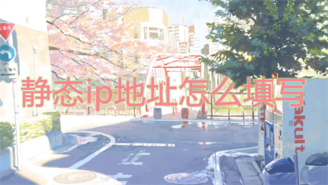 静态ip地址怎么填写(ip地址的正确写法)