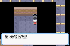 《口袋妖怪蛇纹木》二周目图文攻略