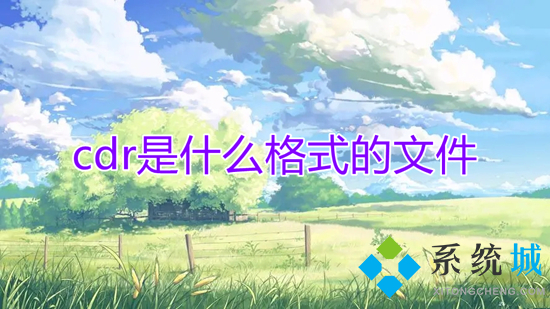 cdr是什么格式的文件(cdr文件用什么打开)
