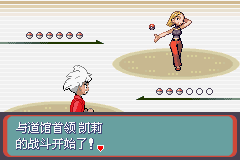 《口袋妖怪蛇纹木》二周目图文攻略