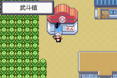 《口袋妖怪蛇纹木》二周目图文攻略