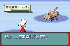 《口袋妖怪蛇纹木》二周目图文攻略