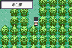 《口袋妖怪蛇纹木》二周目图文攻略