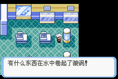 《口袋妖怪蛇纹木》二周目图文攻略