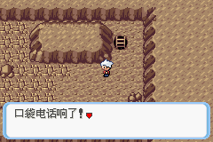 《口袋妖怪蛇纹木》二周目图文攻略