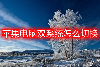 苹果电脑双系统怎么切换(苹果电脑双系统的切换方法)