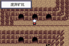 《口袋妖怪蛇纹木》二周目图文攻略