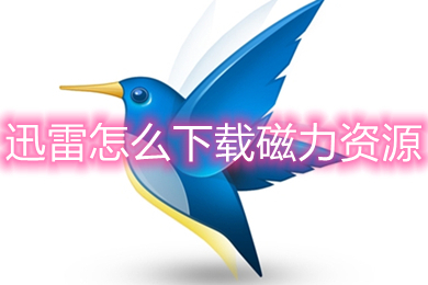 迅雷怎么下载磁力资源(迅雷下载磁力资源的具体操作方法)
