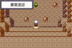 《口袋妖怪蛇纹木》二周目图文攻略
