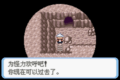 《口袋妖怪蛇纹木》二周目图文攻略