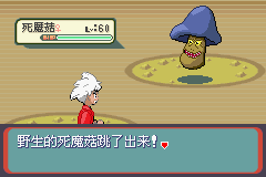 《口袋妖怪蛇纹木》二周目图文攻略