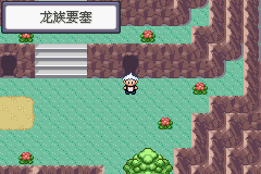 《口袋妖怪蛇纹木》二周目图文攻略