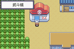 《口袋妖怪蛇纹木》二周目图文攻略