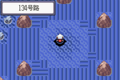 《口袋妖怪蛇纹木》二周目图文攻略