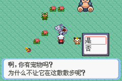 《口袋妖怪蛇纹木》二周目图文攻略