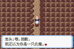 《口袋妖怪蛇纹木》二周目图文攻略