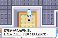 《口袋妖怪蛇纹木》二周目图文攻略
