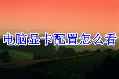 电脑显卡配置怎么看(电脑查看显卡配置的方法介绍)