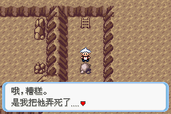 《口袋妖怪蛇纹木》二周目图文攻略