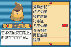 《口袋妖怪蛇纹木》二周目图文攻略