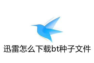 迅雷怎么下载bt种子文件(迅雷下载bt种子文件的方法)