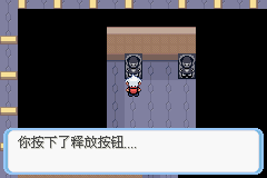 《口袋妖怪蛇纹木》二周目图文攻略