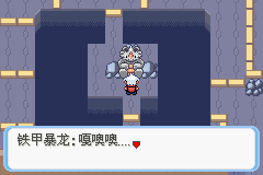 《口袋妖怪蛇纹木》二周目图文攻略