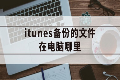 iTunes备份文件在哪(查看电脑中的iTunes备份文件的方法)